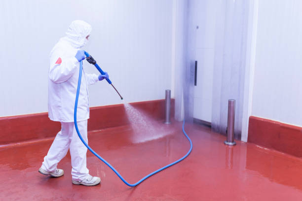 Paint Preparation in Monticello, IA